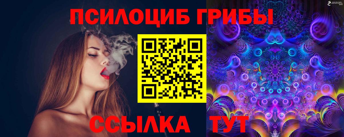 Псилоцибиновые грибы MAGIC MUSHROOMS Верхняя Пышма